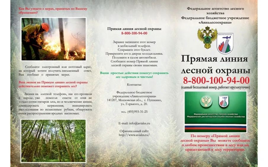 Памятка. Прямая линия лесной охраны